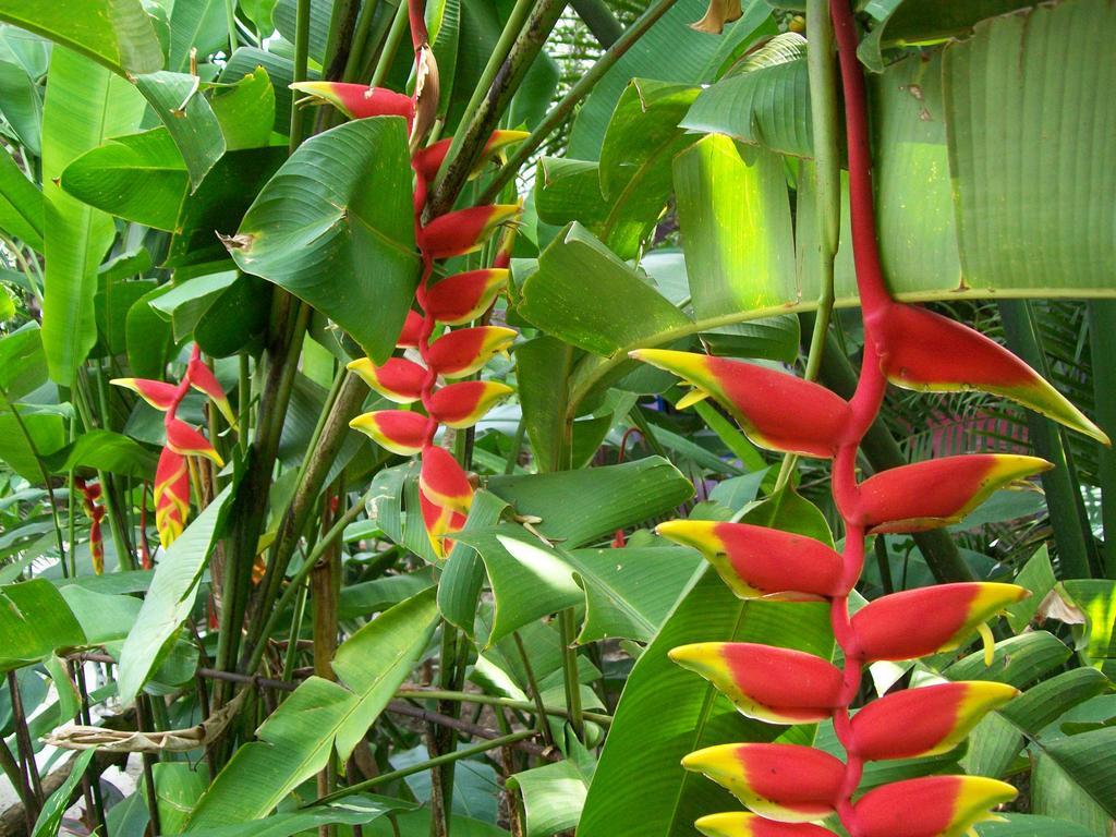 Posada El Jardin Ticul Bagian luar foto