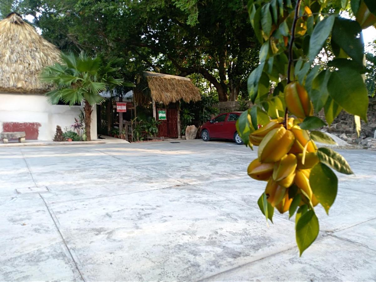 Posada El Jardin Ticul Bagian luar foto