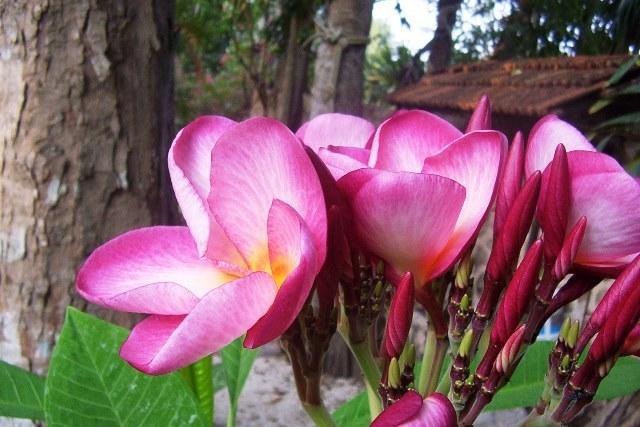 Posada El Jardin Ticul Bagian luar foto
