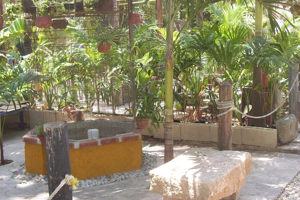 Posada El Jardin Ticul Bagian luar foto