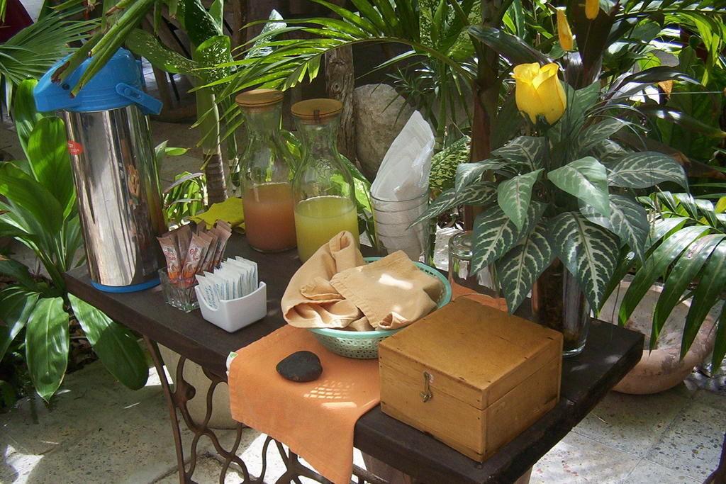 Posada El Jardin Ticul Bagian luar foto